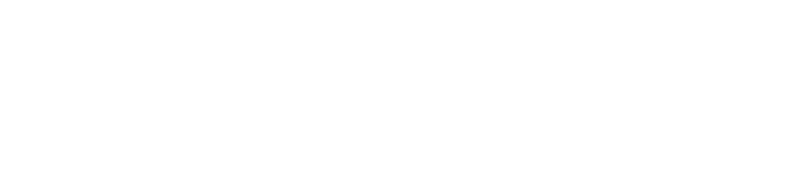 Verizon